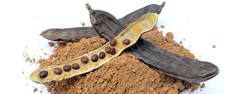 Harina de Algarroba, sustituto del chocolate